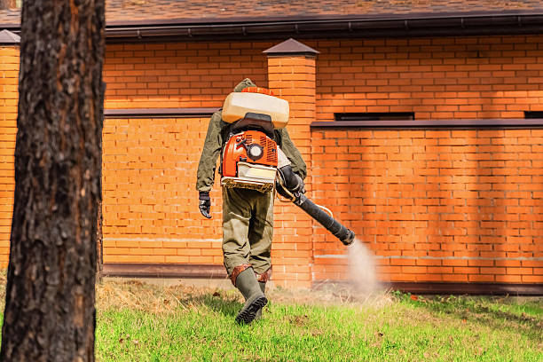 Bed Bug Clearance Verification and Documentation in Ellisville
